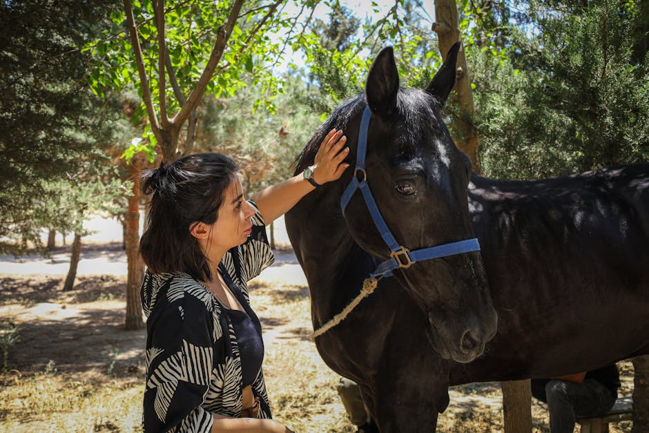 Personal Connection and Wellness